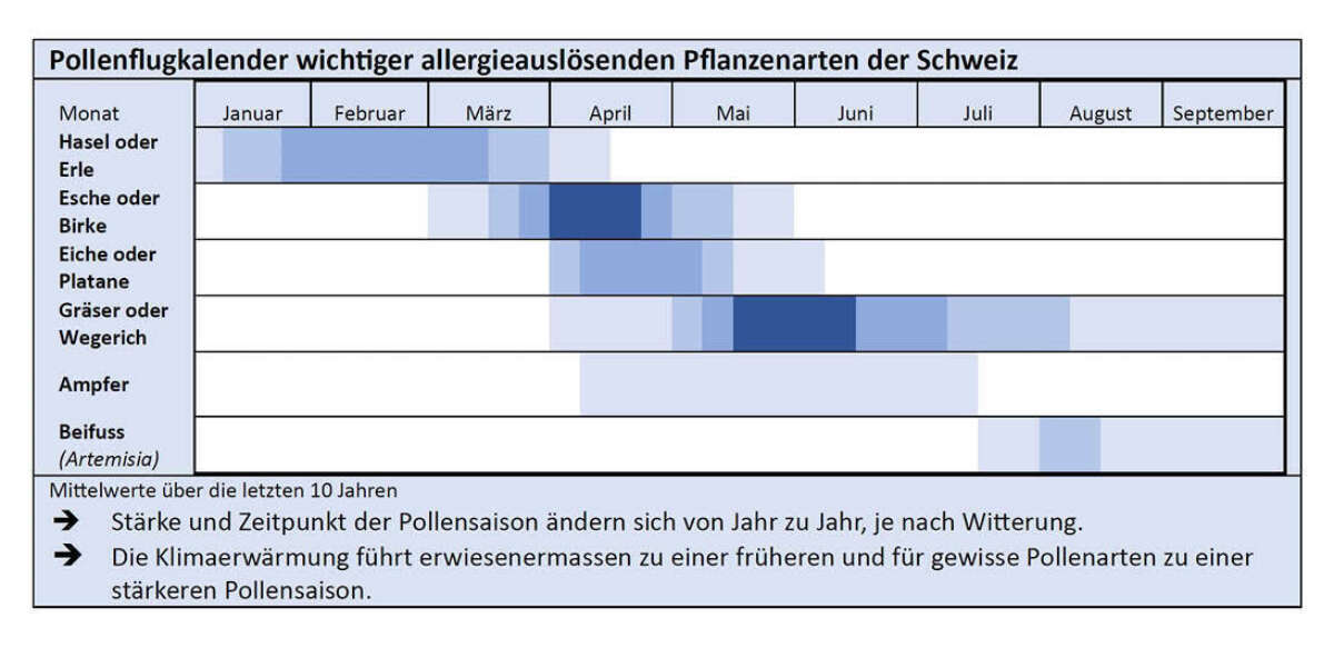 Tabelle mit dem Pollenflugkalender