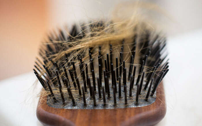 Das Bild zeigt eine Bürste mit ausgefallenen Haaren in den Borsten