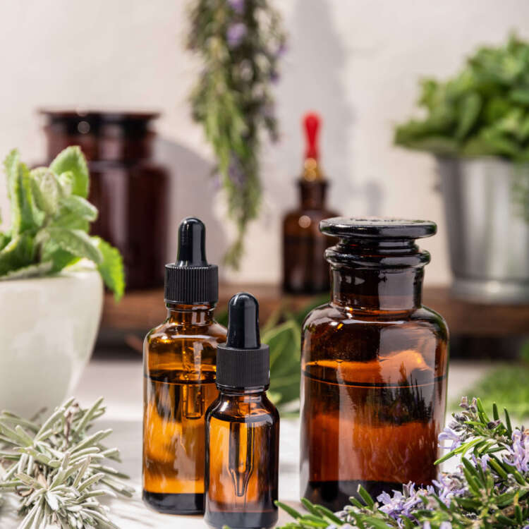 Diverse Behältnisse mit frischen Kräutern drumherum