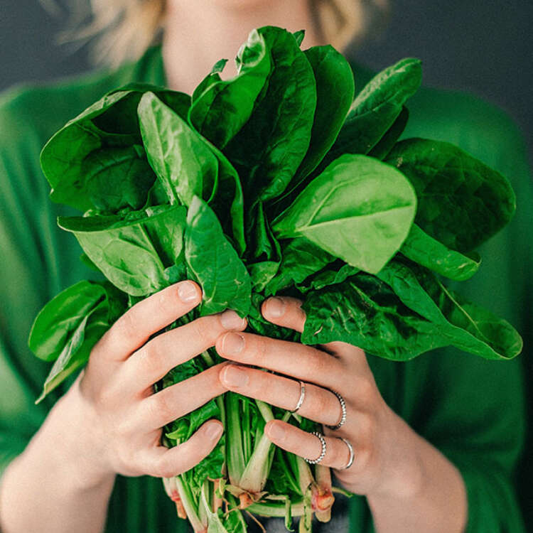Eine Frau hält einen Strauss grüner Blätter in den Händen