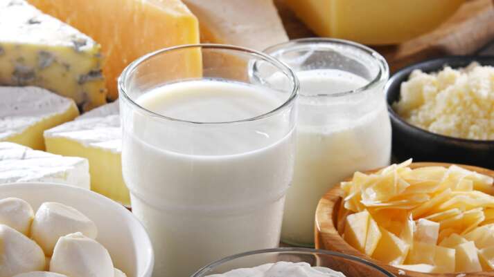 Ein Glas Milch, ein Glas Joghurt und drumherum viele verschiedene Käsesorten
