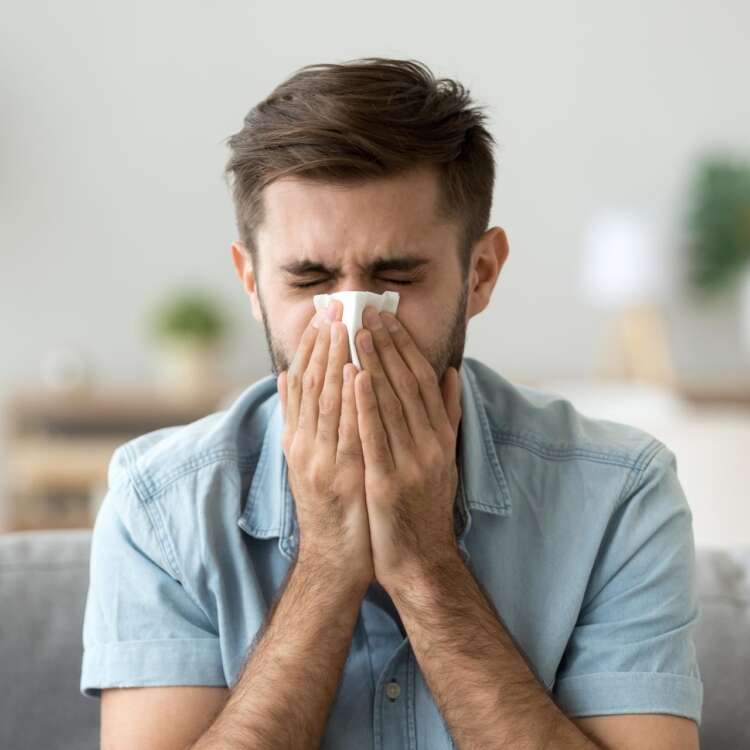 Erkaeltungs und Grippesymptome Schnupfen