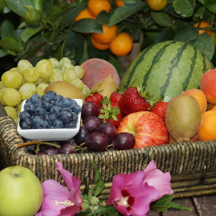 Ein Obstkorb voller unterschiedlicher Früchte