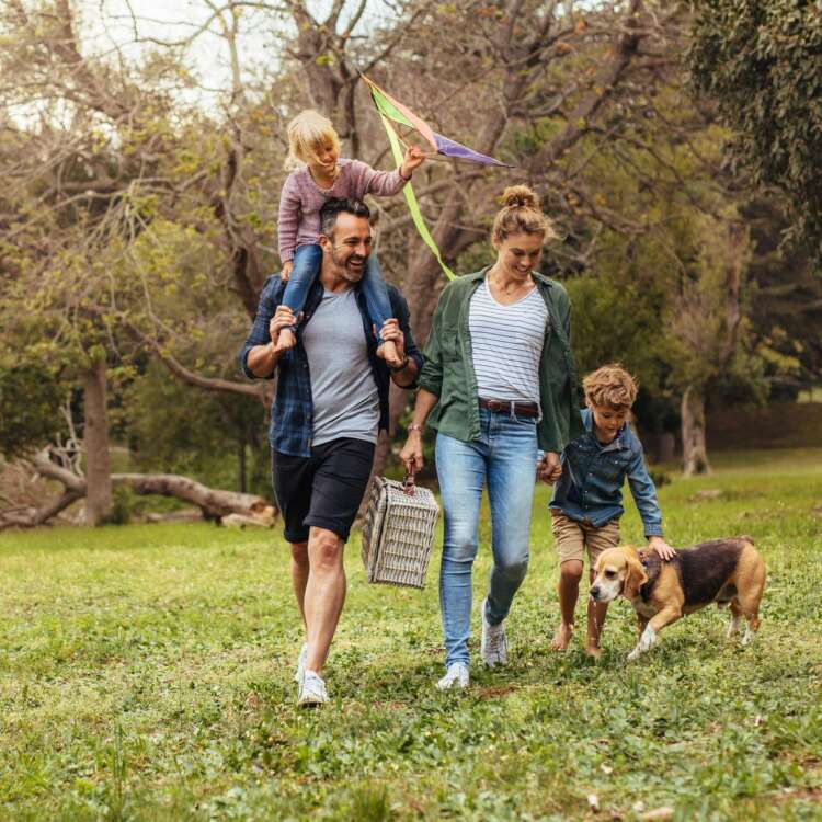 Eine Familie mit Kindern spielt draussen mit dem Hund und geht zum Picknick